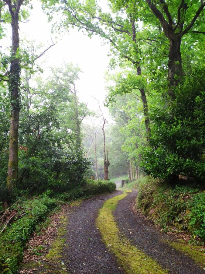 Les Gites Des Beaux Chenes Mortagne-sur-Sevre Bagian luar foto